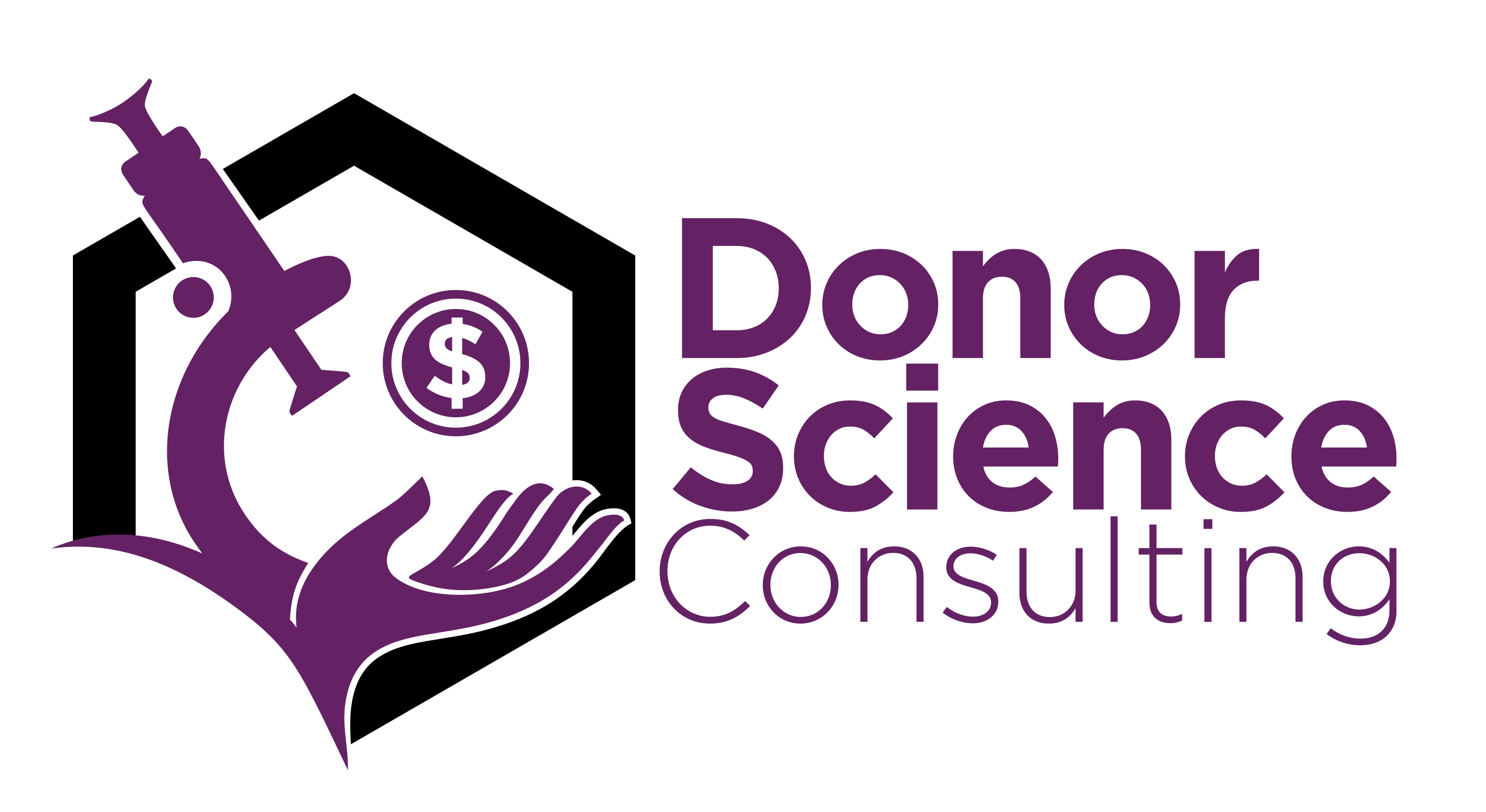 Podcast Don't Scare me With Donor Data Donor Science Consulting