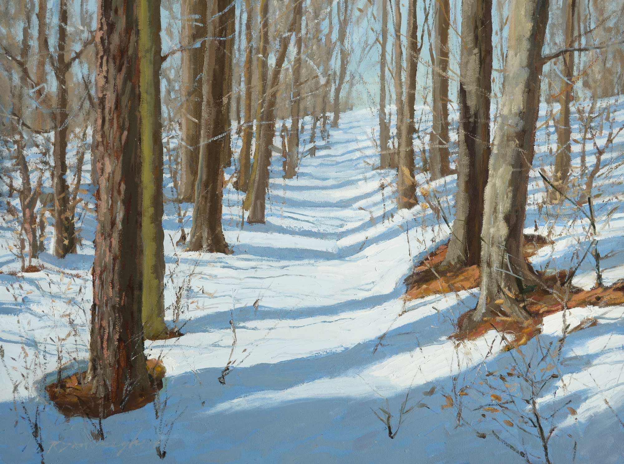 Kittanning Trail Ron Donoughe