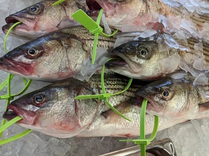 Don's Crabs and Seafood Maryland Crabs Steamed Crabs