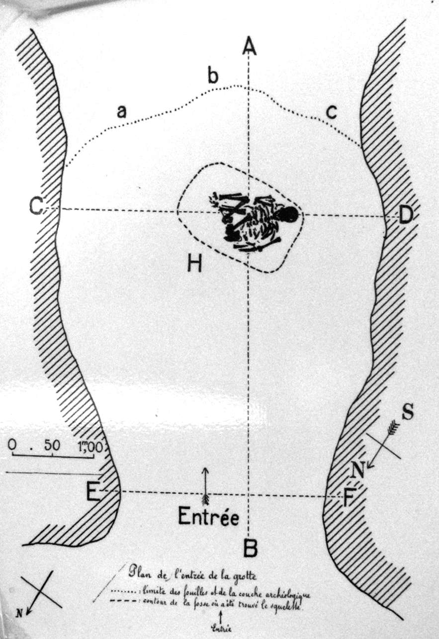 ChapelleauxSaints the Neanderthal / Neandertal skeleton