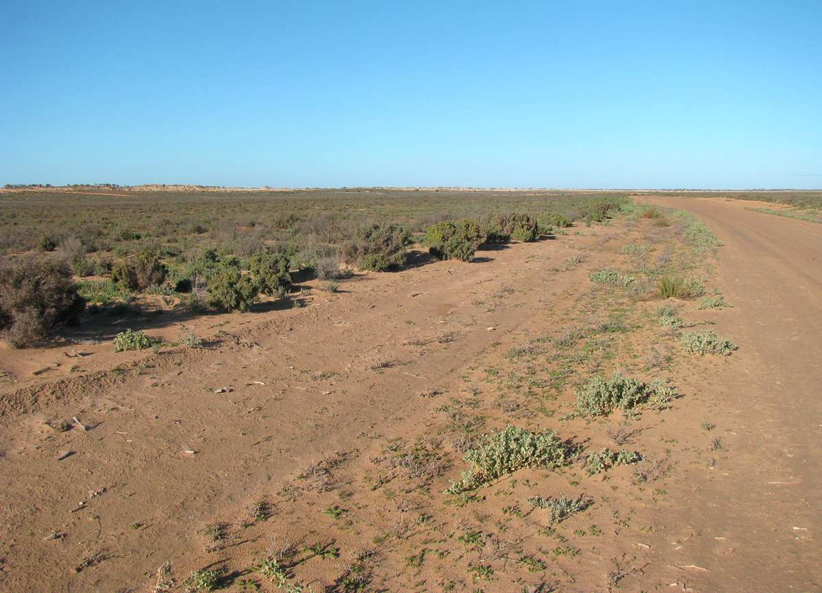 Lake Mungo Road Conditions at William Connolly blog