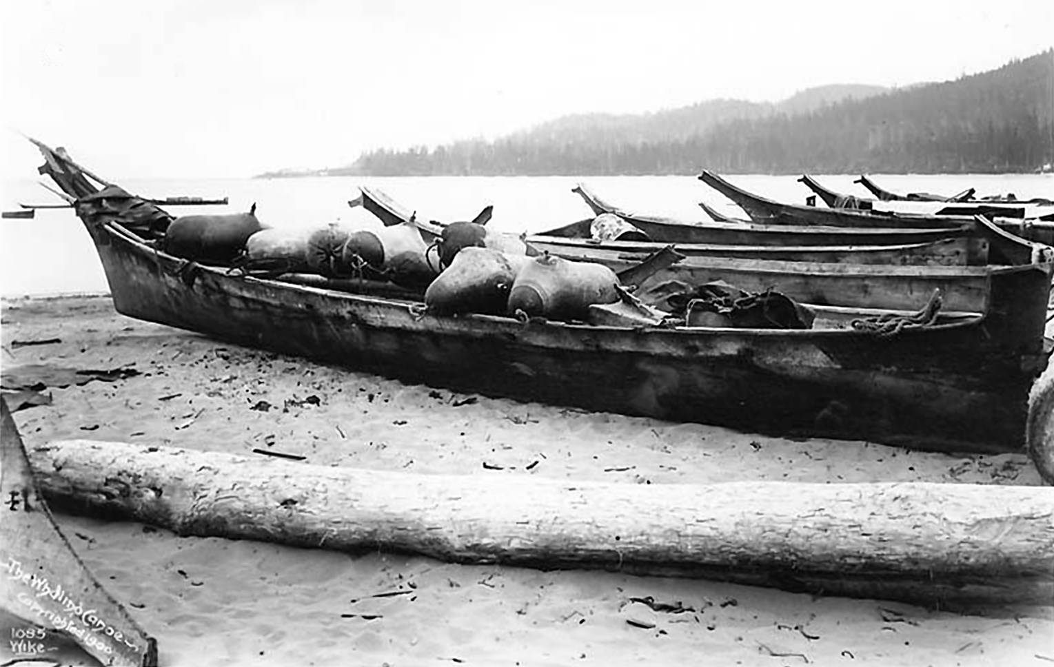 Canoes of the First Nations of the Pacific Northwest