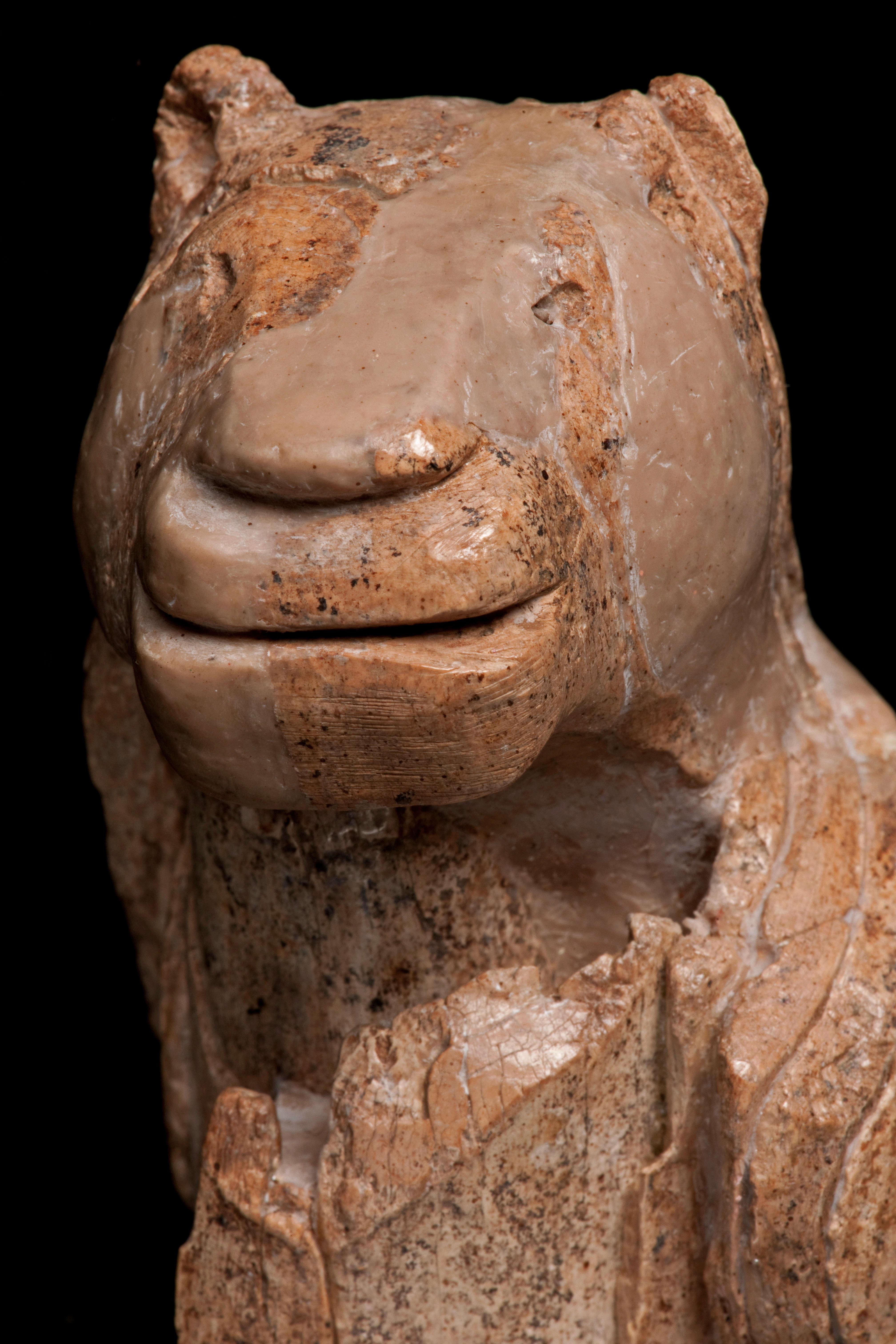 The Lion Man from Ulm