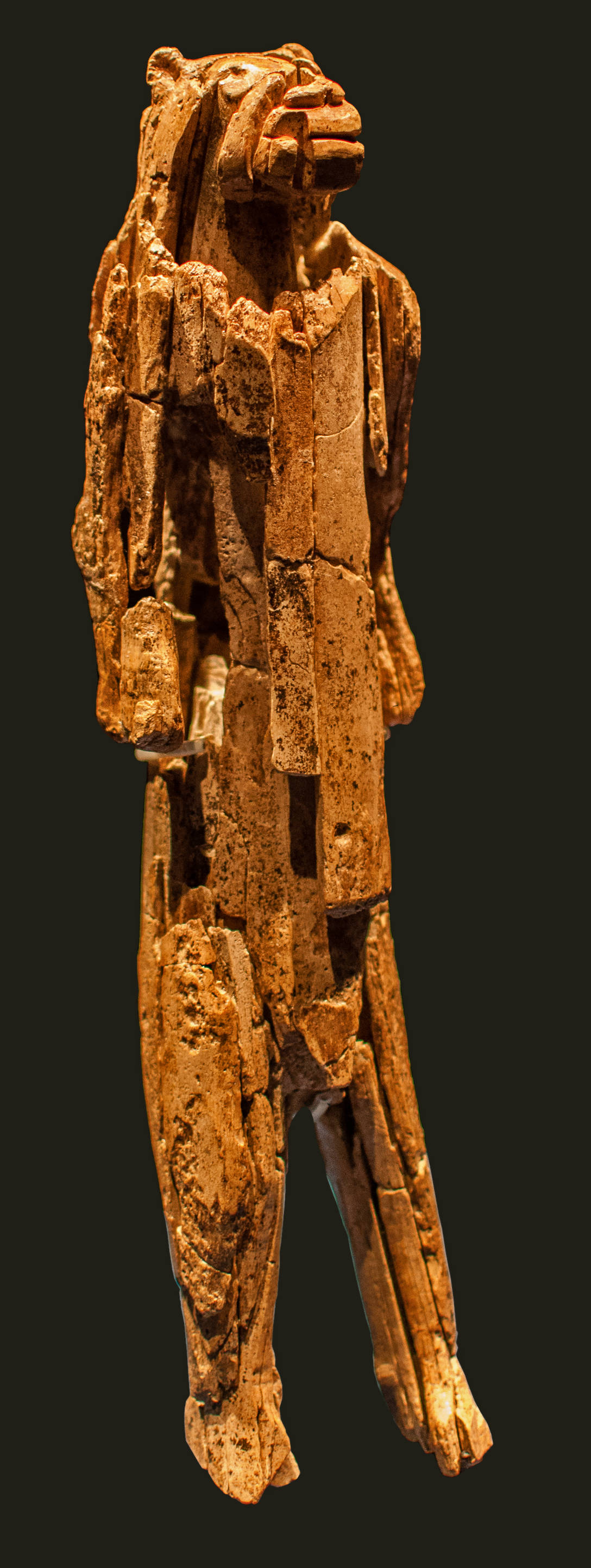 The Lion Man from Ulm