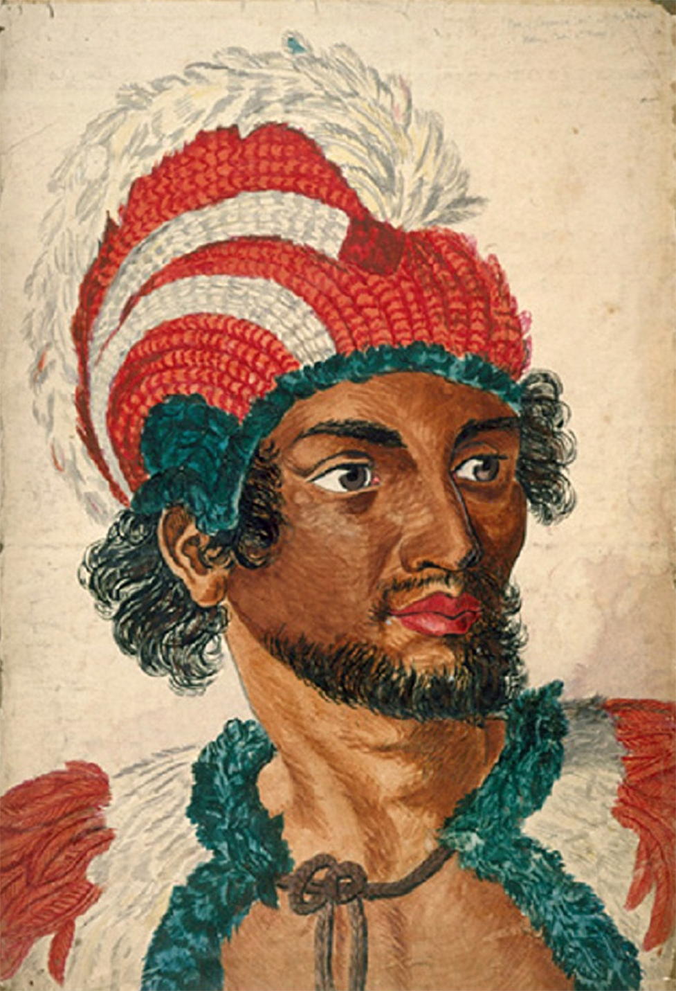 The Bird Feather Cloak of Captain James Cook