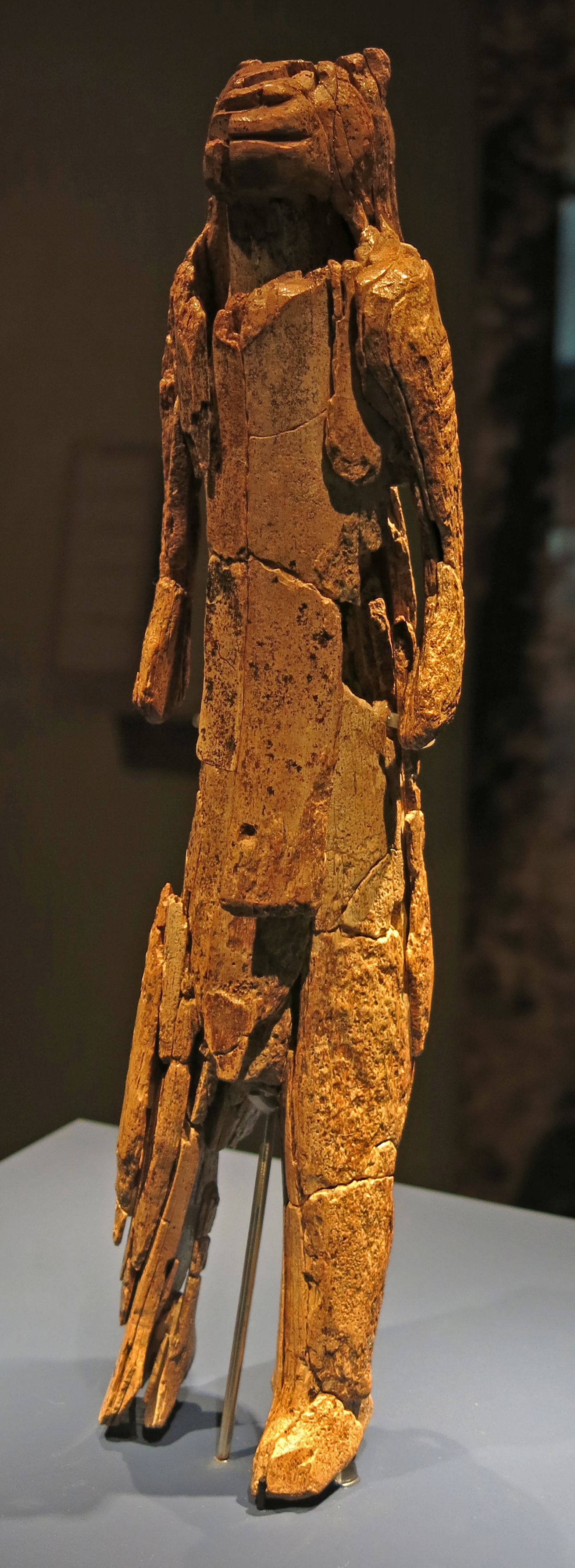 The Lion Man from Ulm