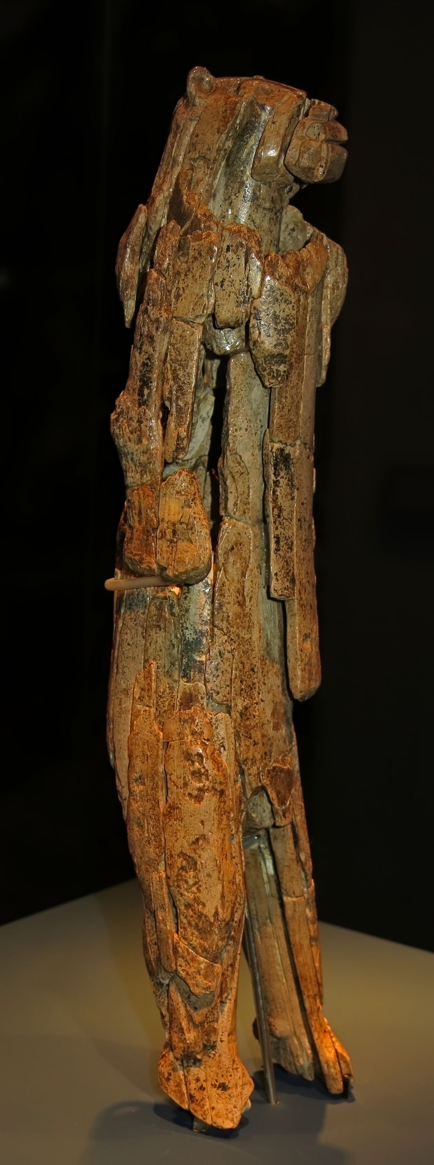 The Lion Man from Ulm