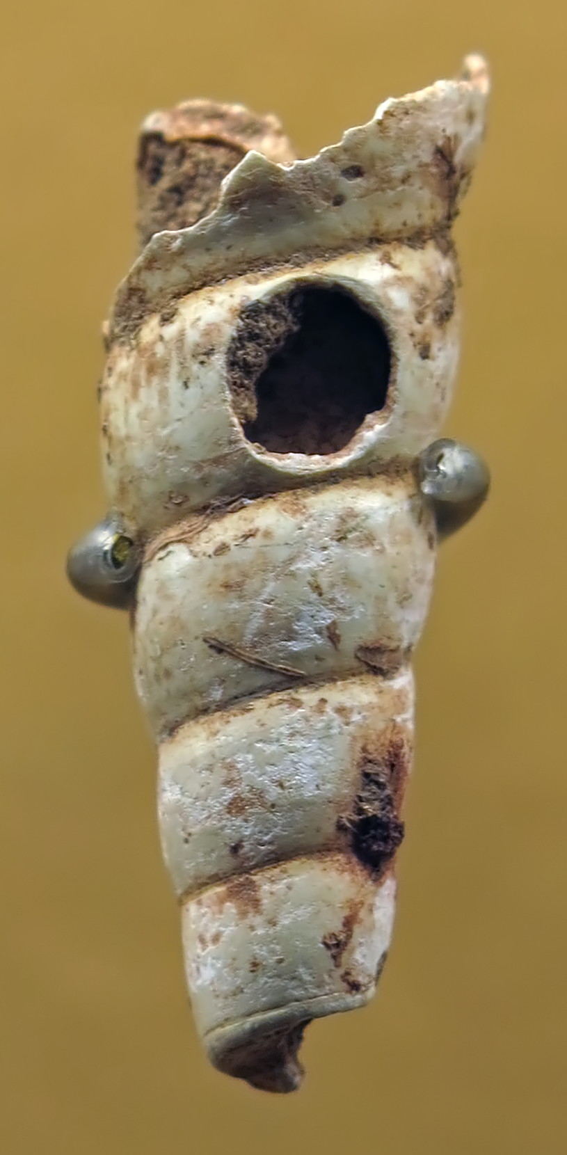 La Gravette, the type site for the Gravettian