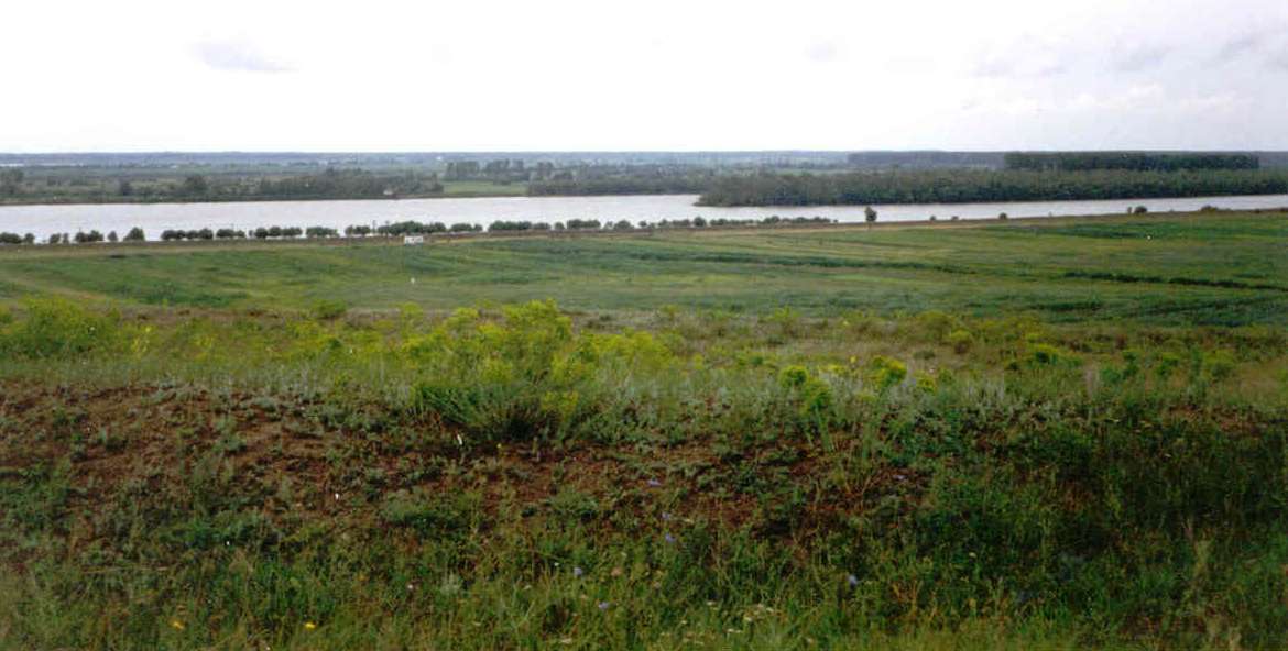 From the Danube Delta to the Source