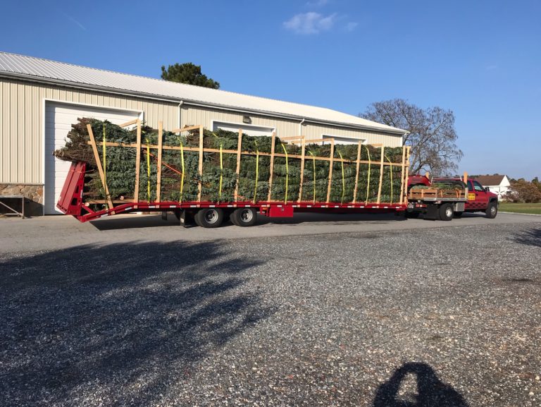 1 Wholesaler in Delaware!