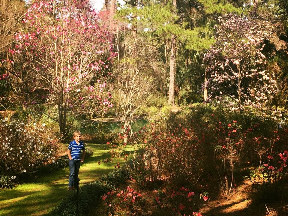 Maclay Gardens Don't Call Me Sugar!