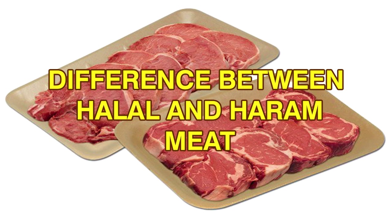Is Shark Meat Halal Or Haram Polish government to allow Is Shark Meat Halal Or Haram Polish government to allow