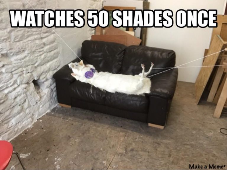 50+ Casting Couch Memes That Are So True & Relatable