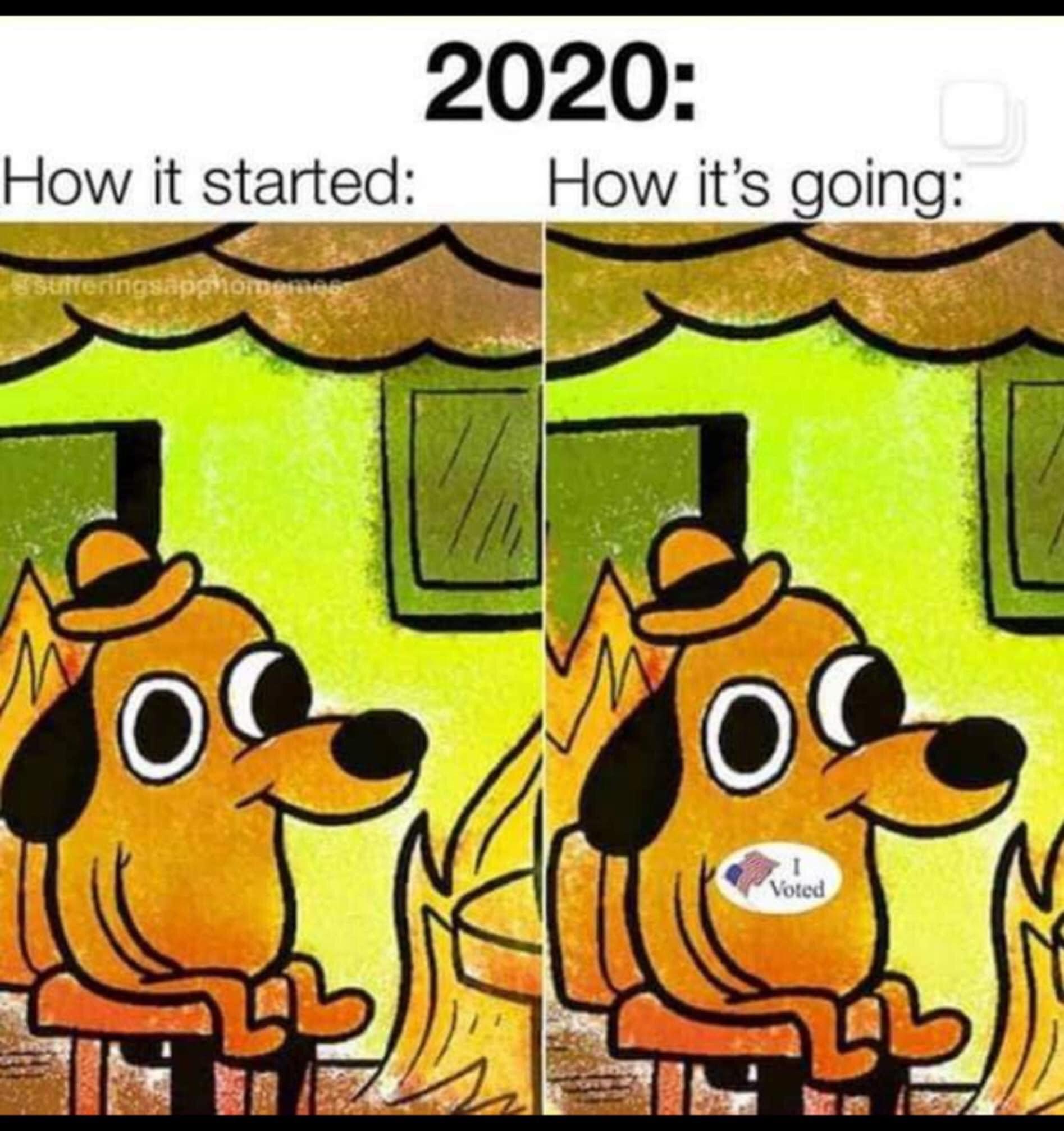 50+ Funny Everything is Fine Memes That Are Relatable AF