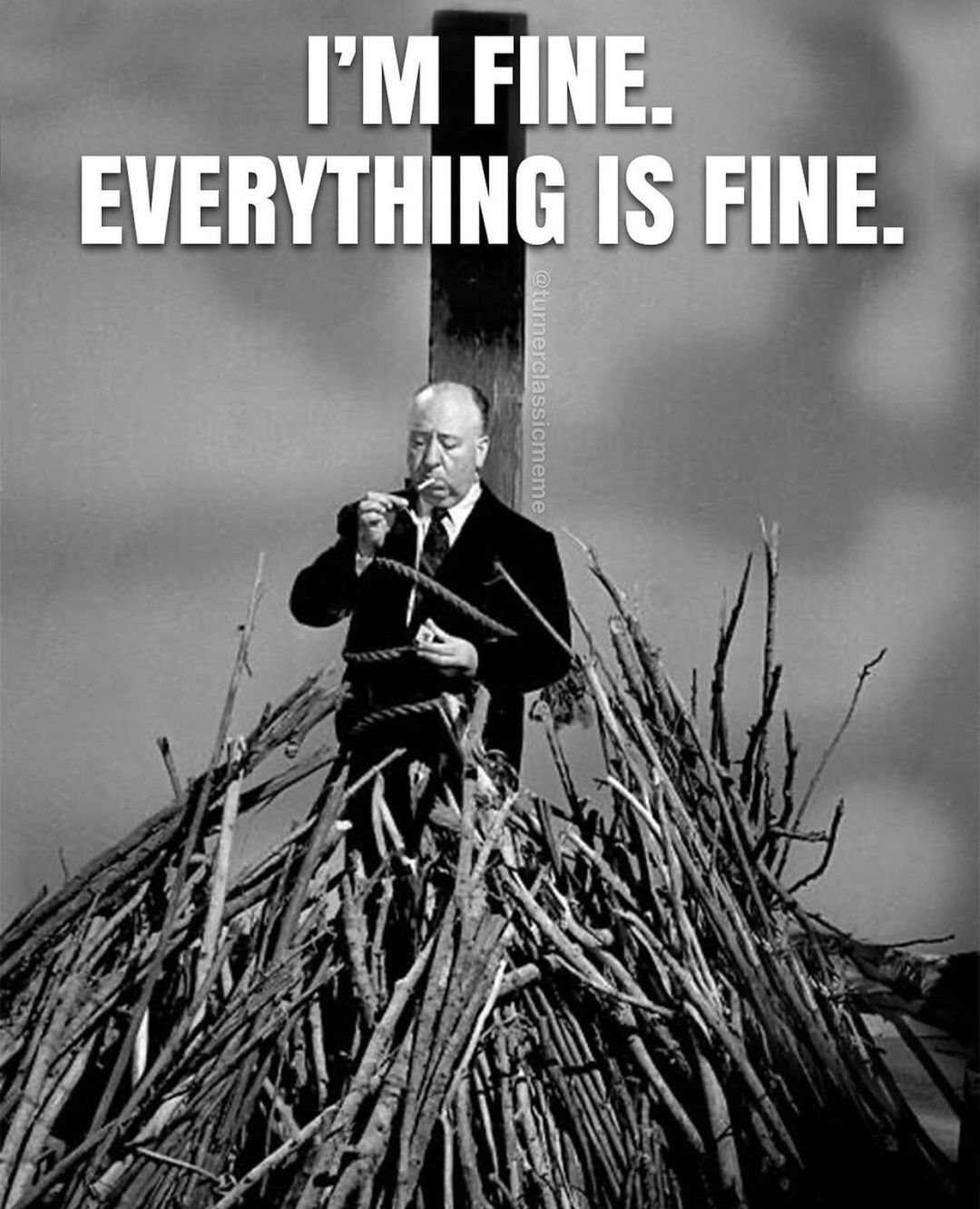 50+ Funny Everything is Fine Memes That Are Relatable AF