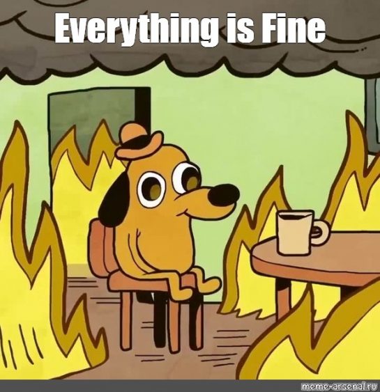 50+ Funny Everything is Fine Memes That Are Relatable AF