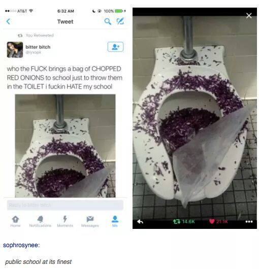 50+ Hilarious Onion Memes Will Make You Cry With Laughter