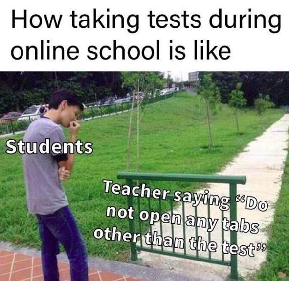 50+ Funny Online School Memes That Every Student Can Relate To