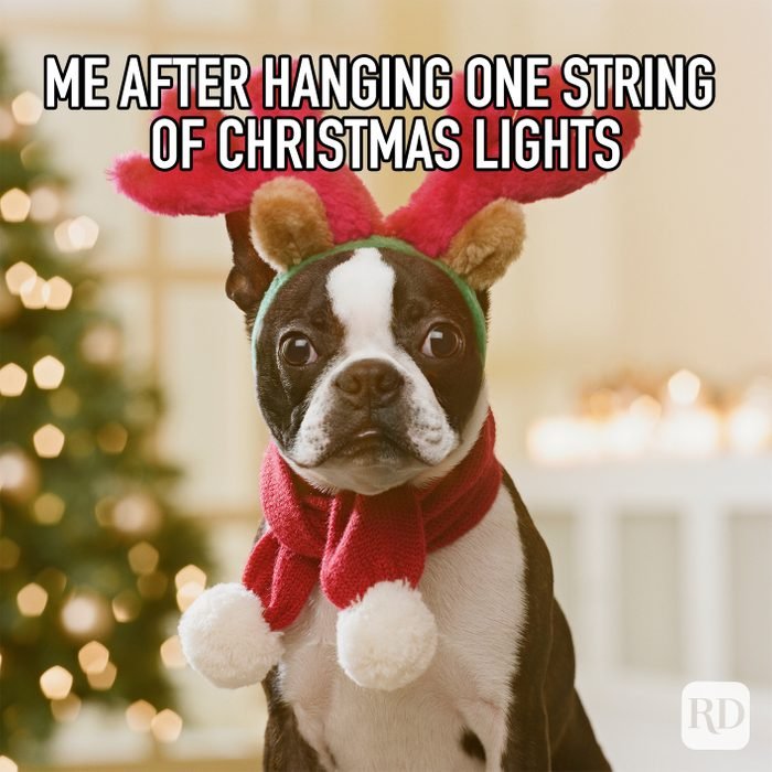 50+ Funny Christmas Decoration Memes You Will Fall in Love With