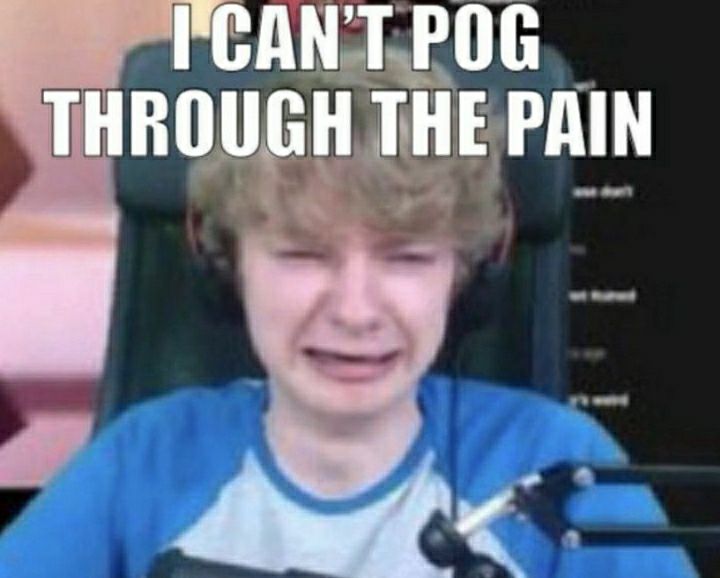 50+ Funny Mcyt Memes That Will Make You Laugh Out Loud