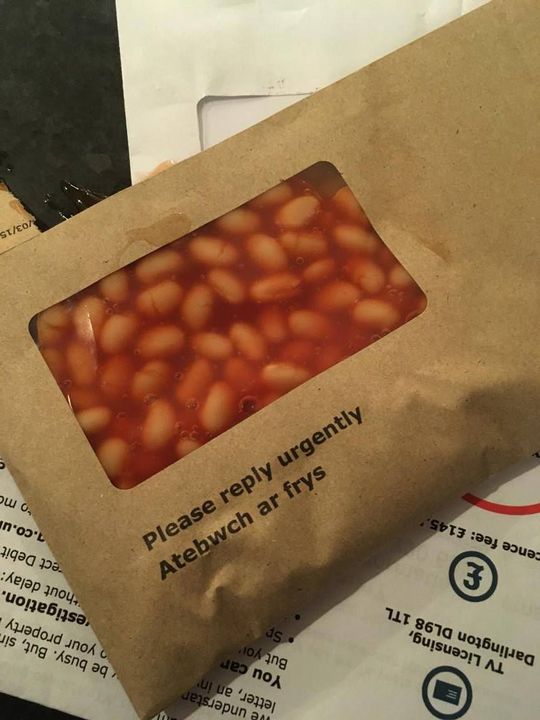 50+ Beans Memes That Will Make You Laugh