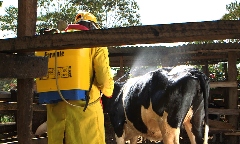 Controlling parasites Don't Lose The Plot