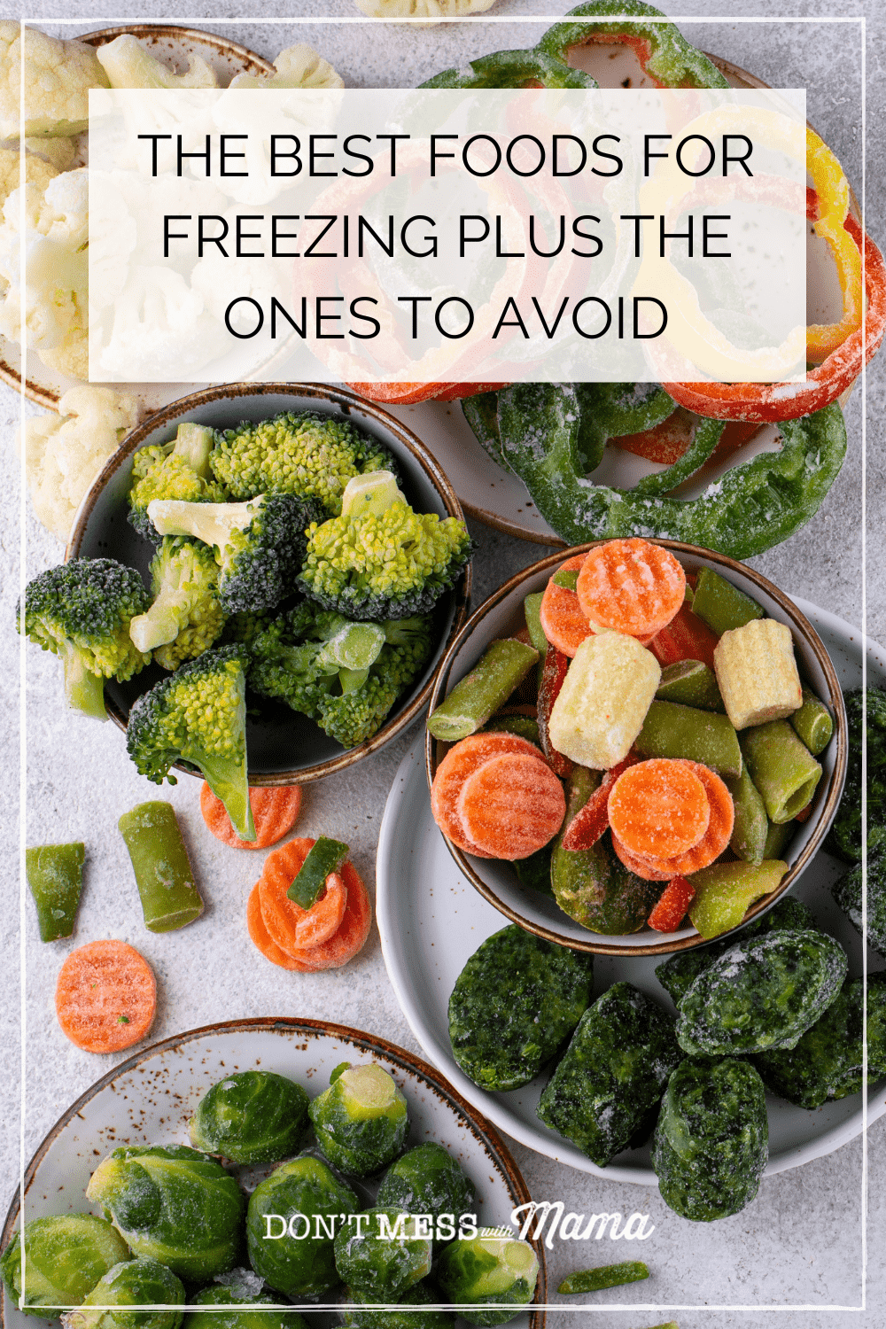 Best Foods for Freezing and Foods to Avoid Freezing Don’t Mess with Mama