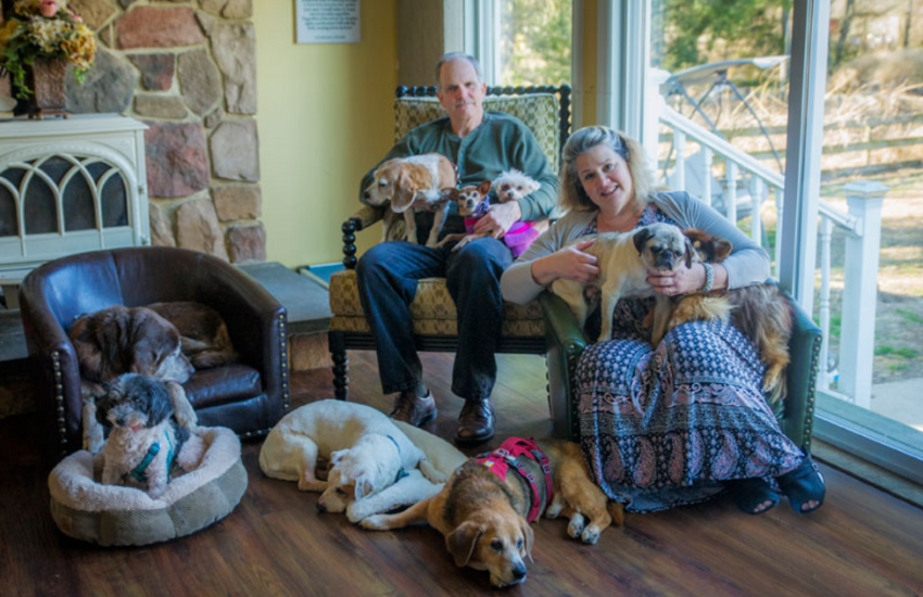 Living The Last Moments To The Fullest │ Monkey's House, A Dog Hospice