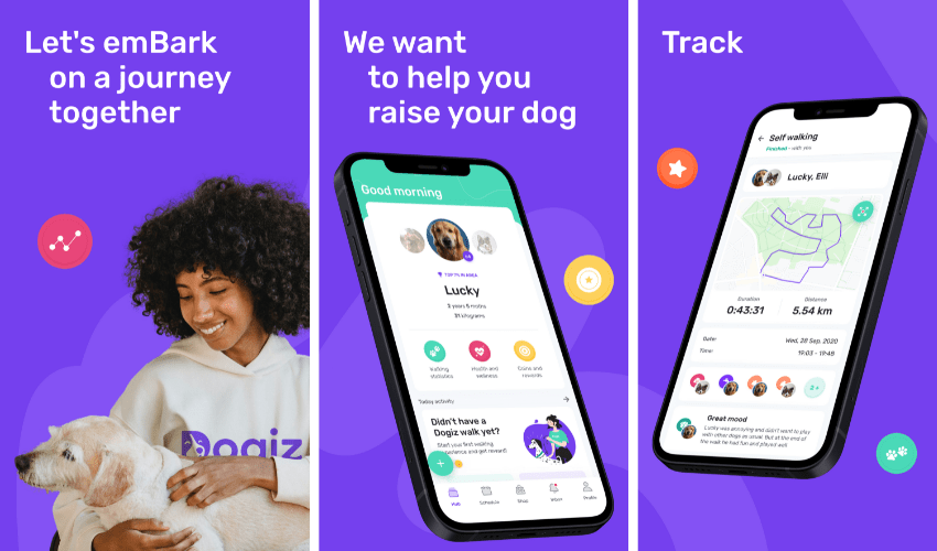 Keep Track Of Your Pet's Activities and Health Using A WellDeveloped