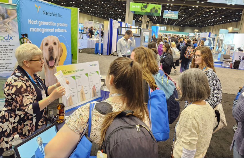 Veterinary Services Expert Dr. Wendy Hauser │ Peak Veterinary