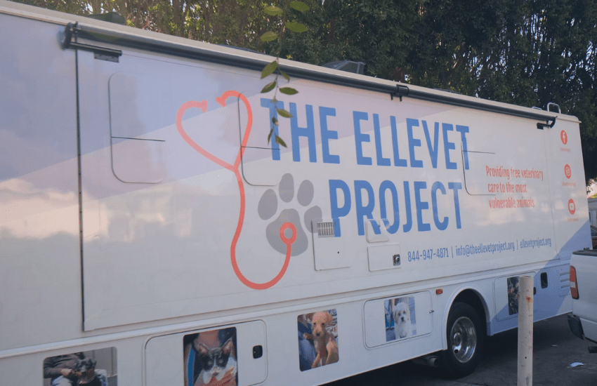 Free Veterinary Care For The Pets Of The Homeless │The ElleVet Project