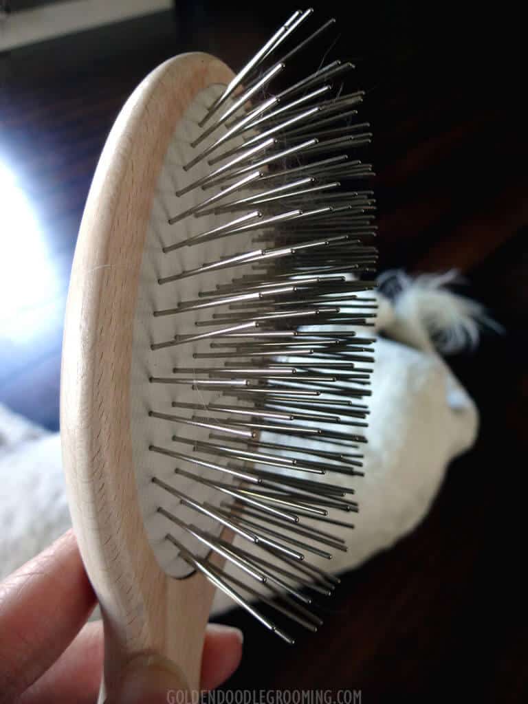 Best Brush for Yorkiepoo As by The Pros Doodle Doods