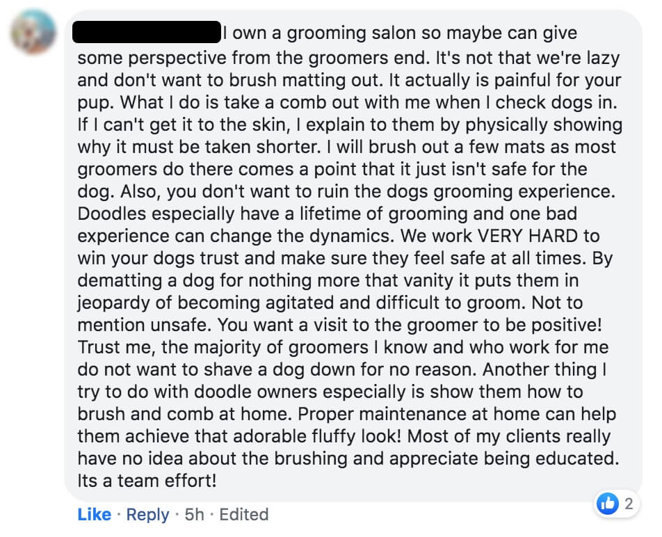 Why do groomers shave dogs? Here’s What to Expect KeepingDog
