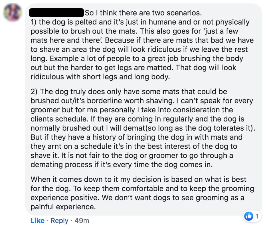 Why do groomers shave dogs? Here’s What to Expect KeepingDog