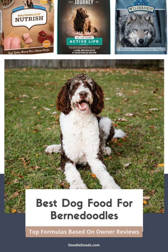 Best Dog Food for Bernedoodles Top Formulas Based on Owner Reviews