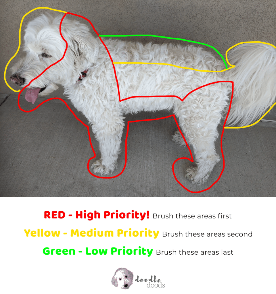 Best Brush For Westiepoo By Pro Groomers