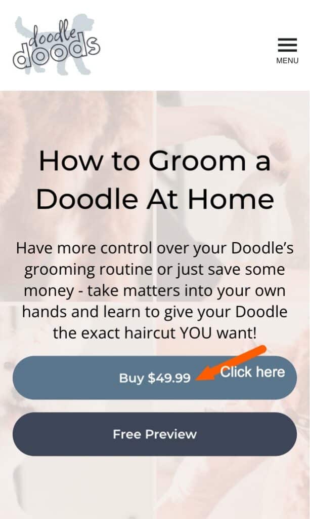 How to Groom a Doodle at Home Doodle Doods
