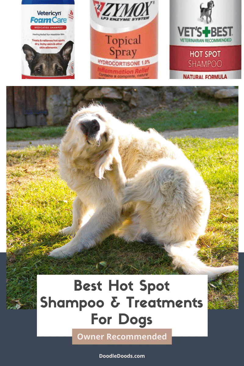 What Is The Best Hot Spot Spray For Dogs