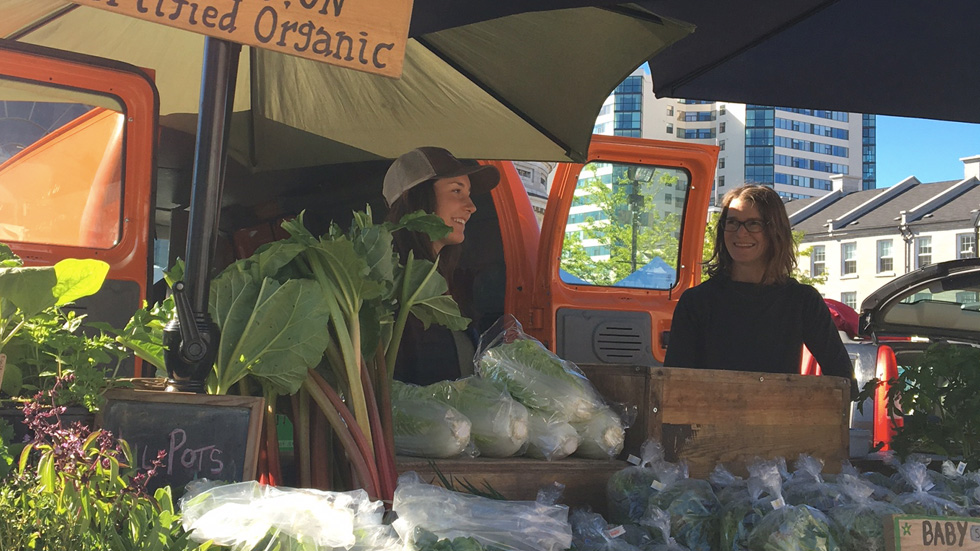 Patchwork Gardens Kingston Public Market