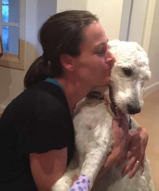 Rehome Your Doodle Doodle Rock Rescue Dallas TX