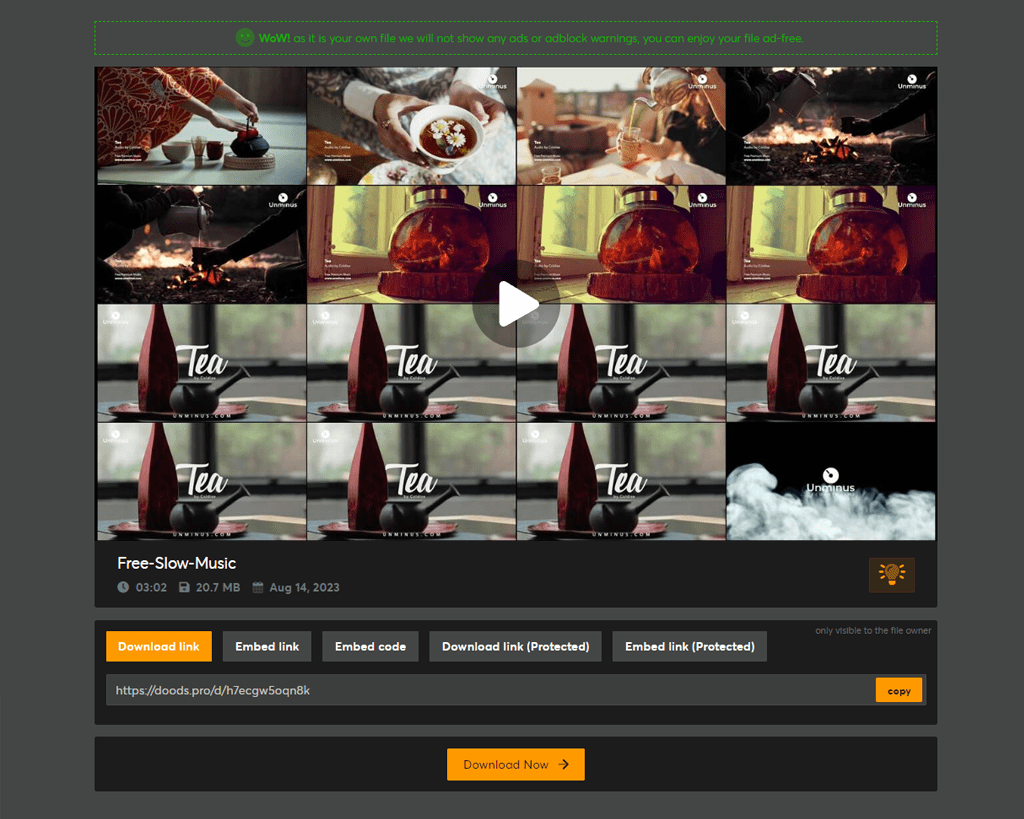 DoodStream Download Video Doodstream Premium Account