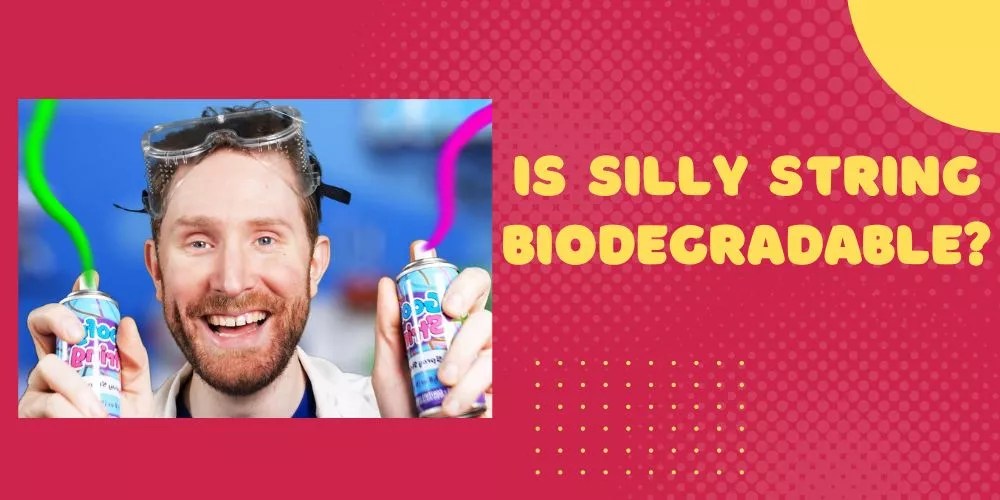 Is Silly String Biodegradable? (Everything That You Must Know)