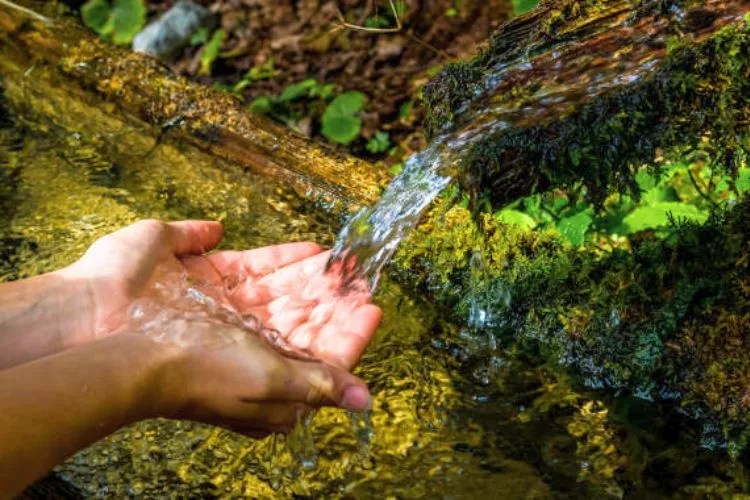 How To Make A Natural Spring Flow Better In 7 Easy Steps