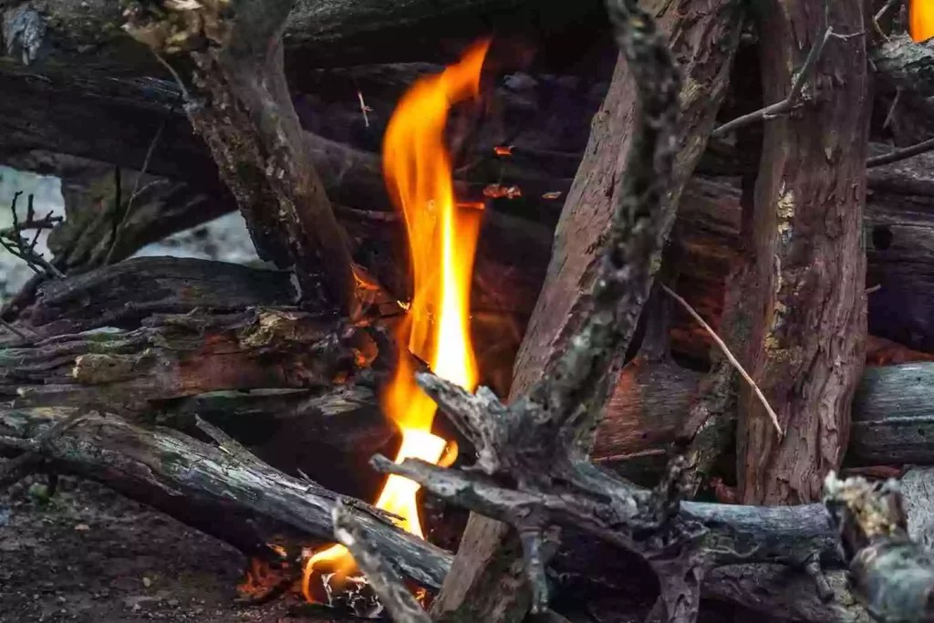 Start A Fire With Wet Wood Easy Tutorial