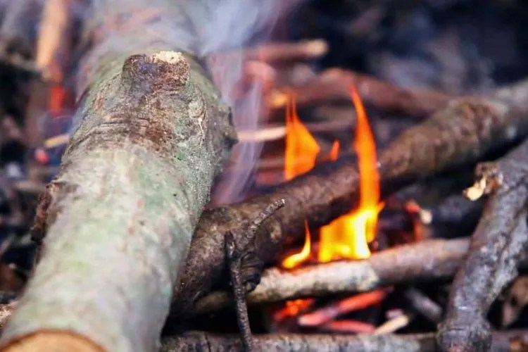 Start A Fire With Wet Wood Easy Tutorial