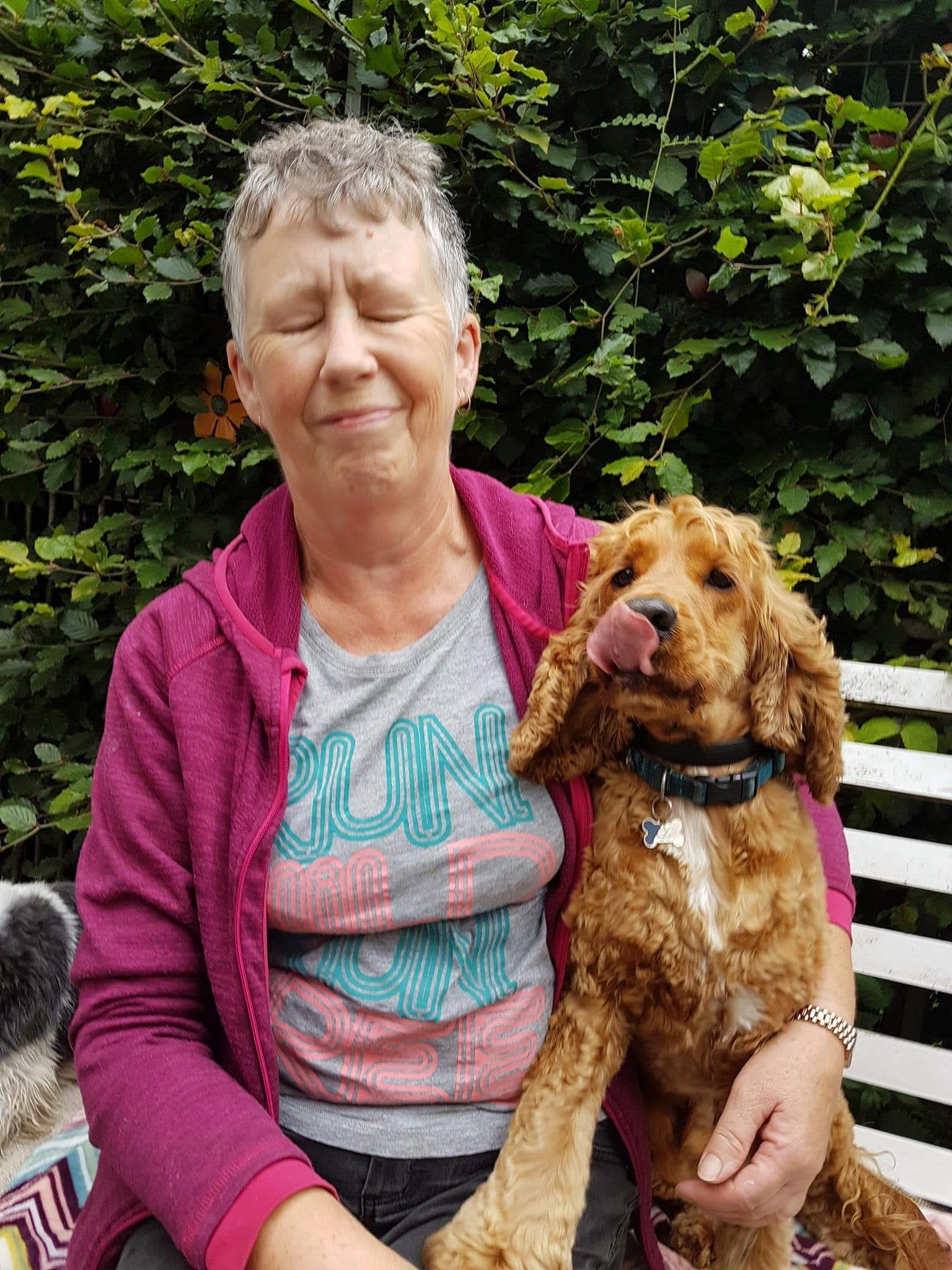 The Guests Gallery Doonane Dogs Boarding Kennels, Dublin