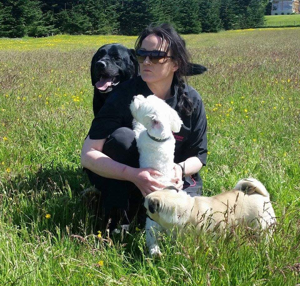 My Pals Doonane Dogs Boarding Kennels, Dublin