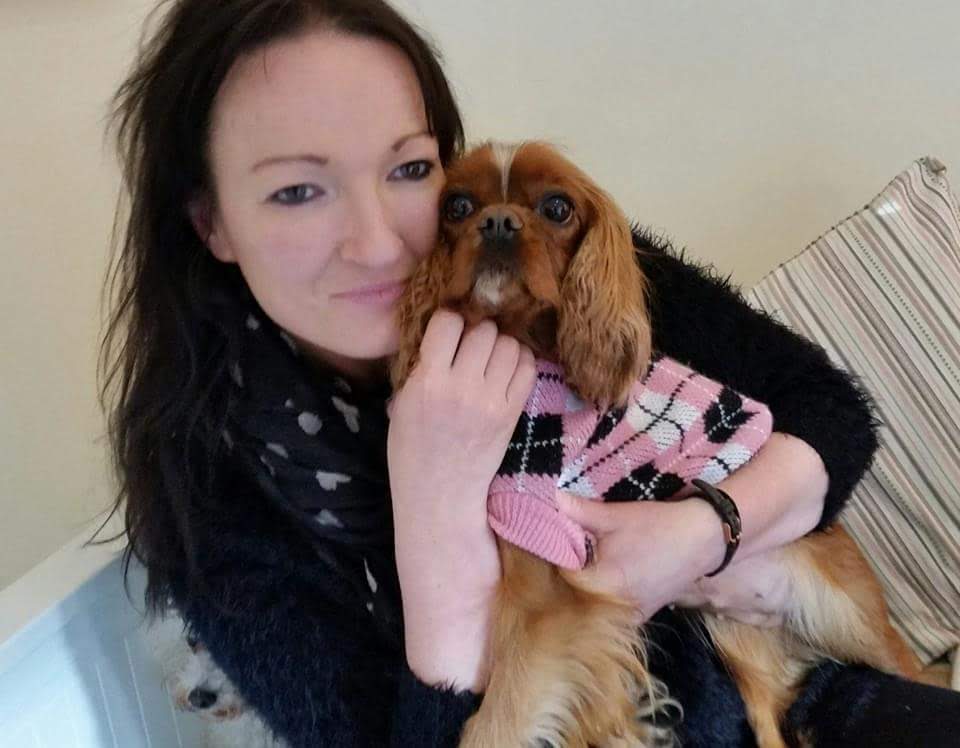 My Pals Doonane Dogs Boarding Kennels, Dublin