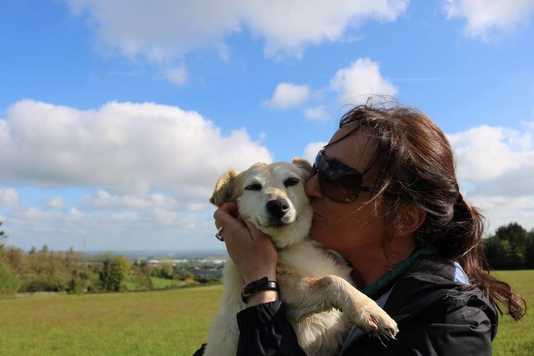 My Pals Doonane Dogs Boarding Kennels, Dublin