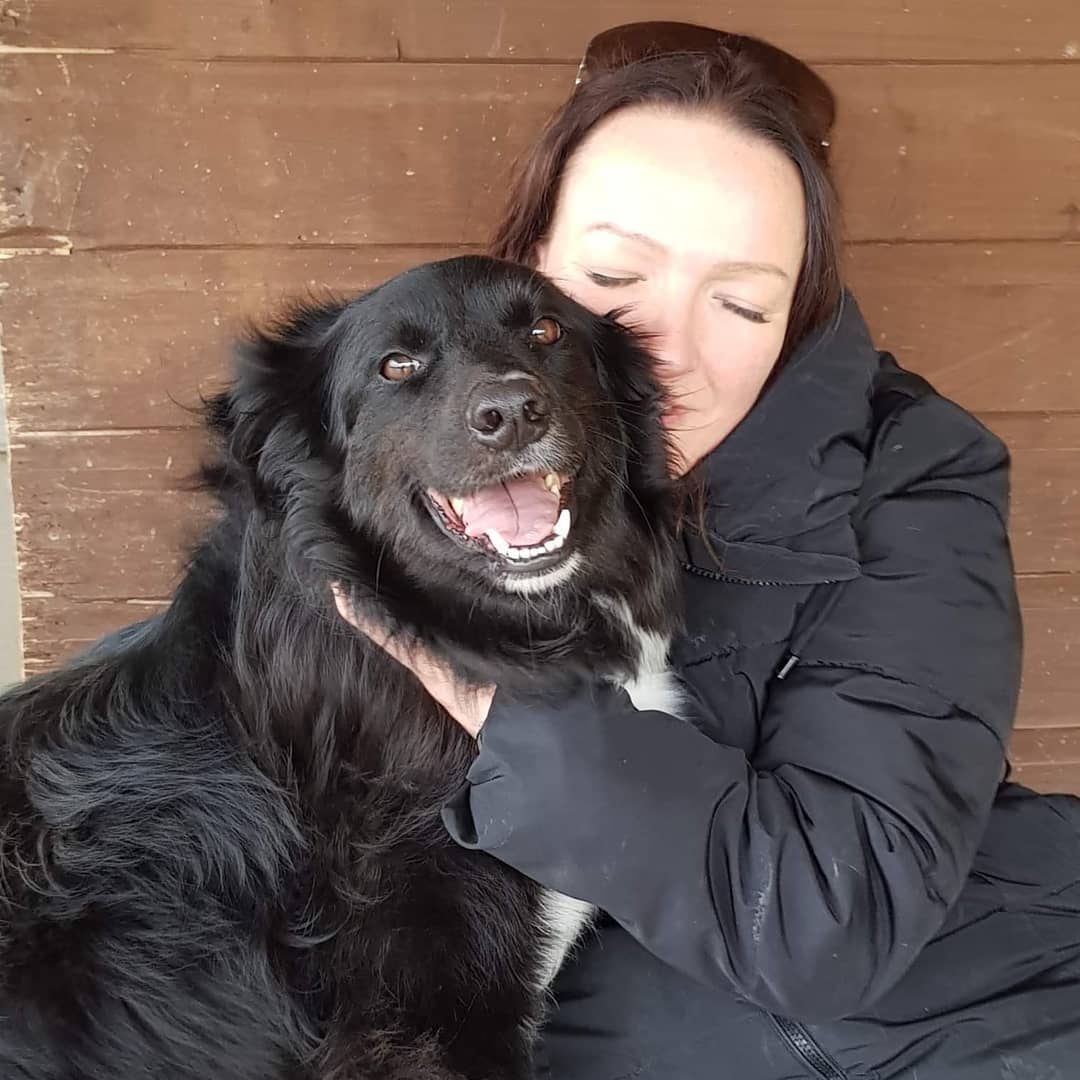 My Pals Doonane Dogs Boarding Kennels, Dublin